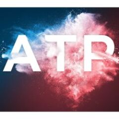 Produit r&eacute;f&eacute;rence ZY-ICATP800G1